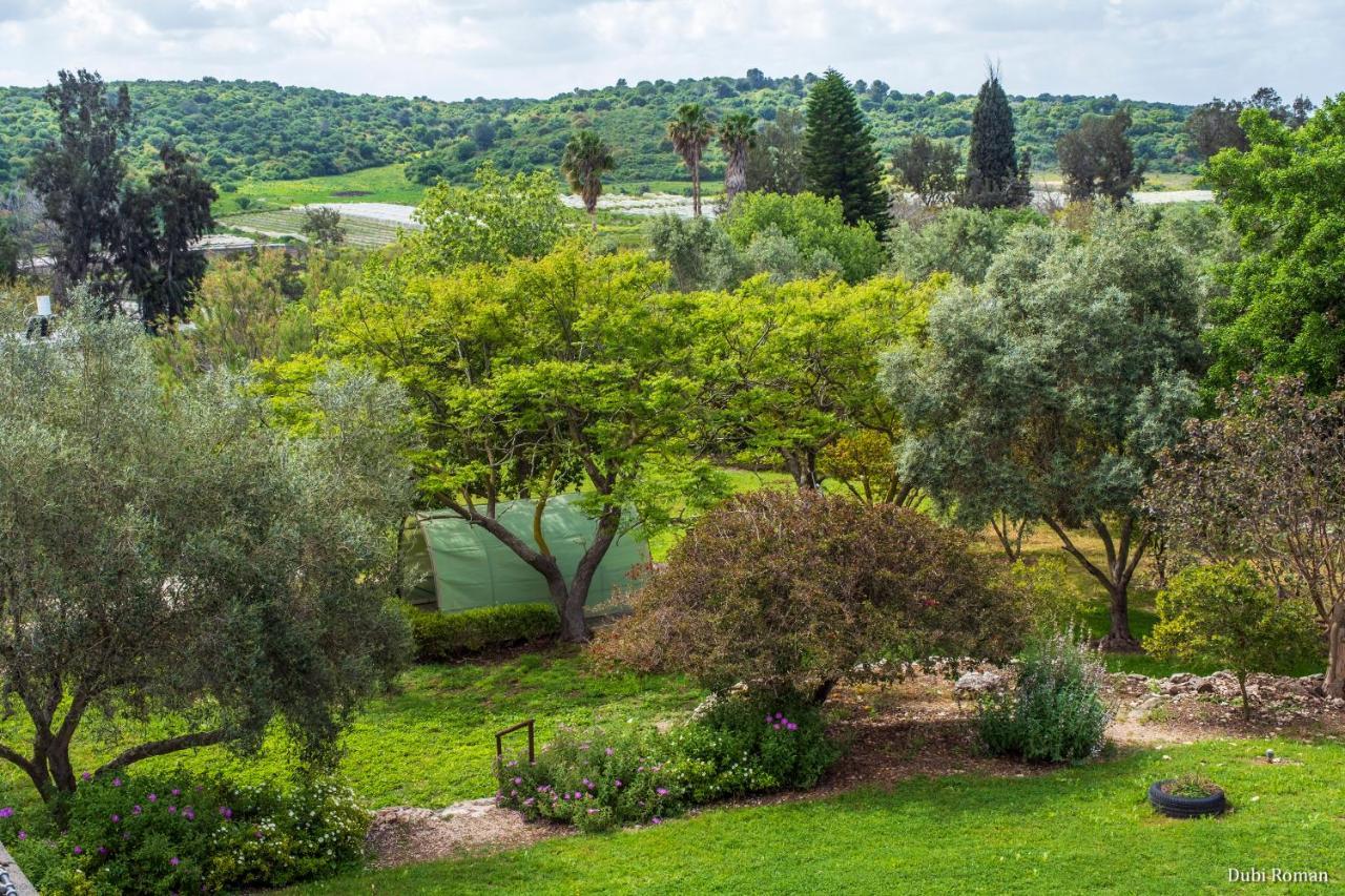 Amikam Meshek 81 משק 81 עמיקם Villa Екстериор снимка
