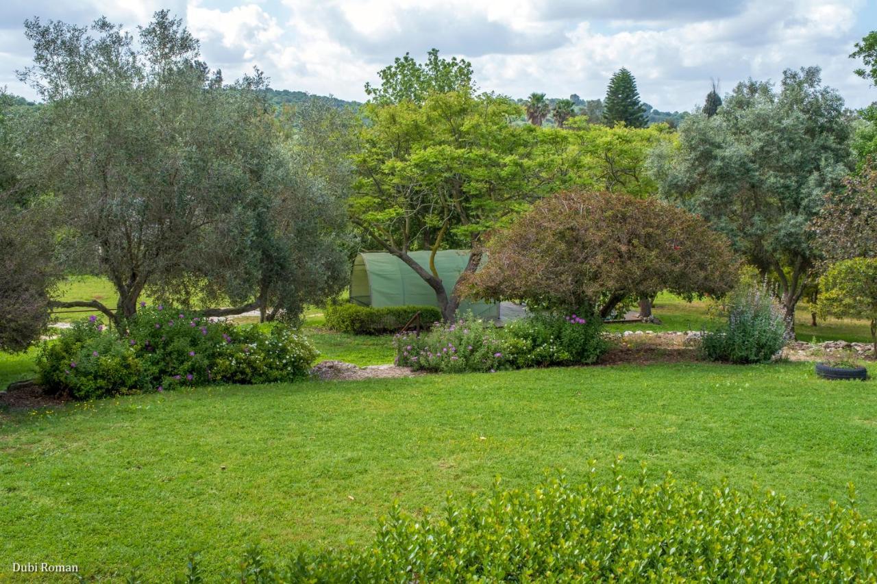Amikam Meshek 81 משק 81 עמיקם Villa Екстериор снимка