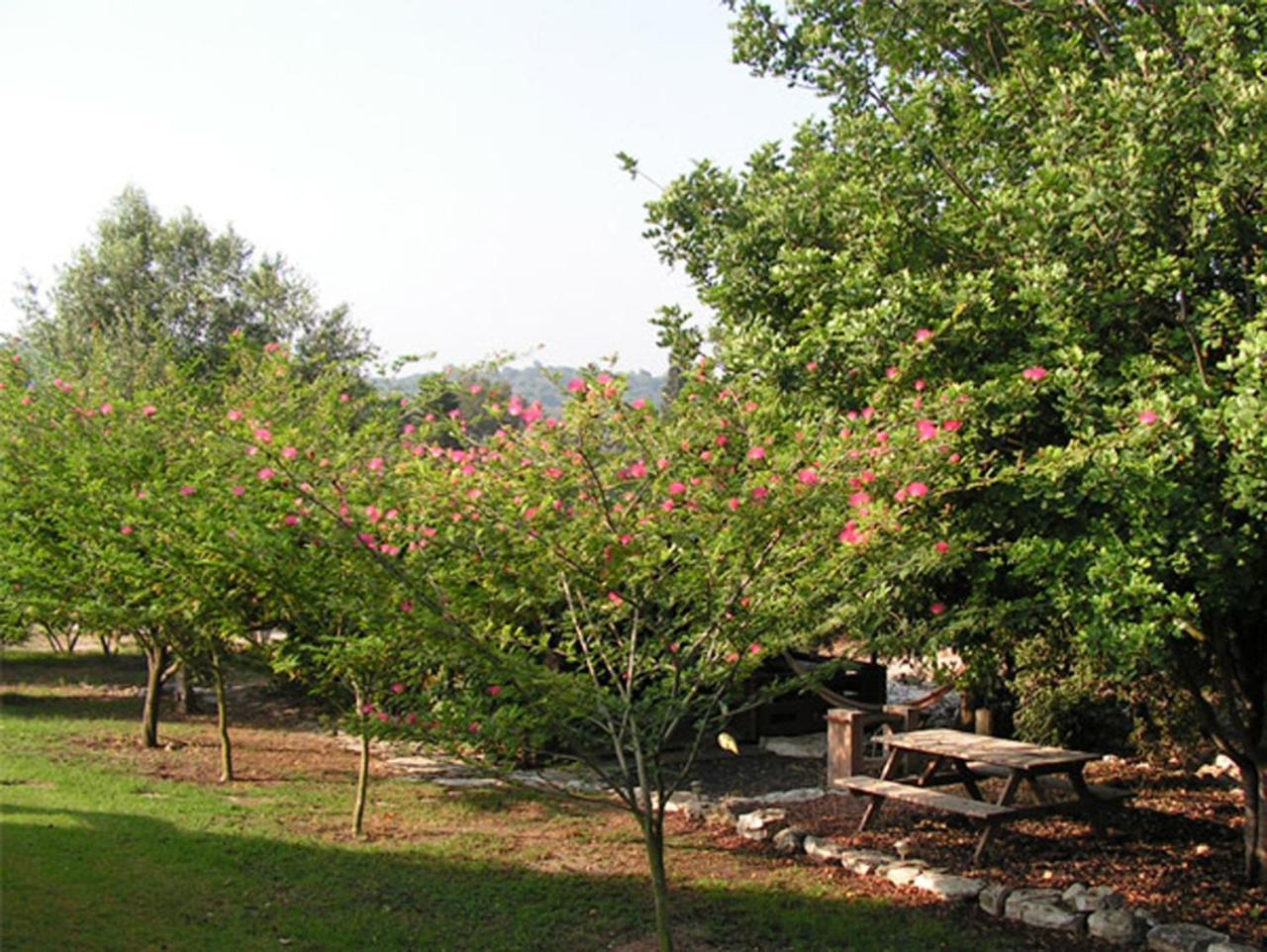 Amikam Meshek 81 משק 81 עמיקם Villa Екстериор снимка